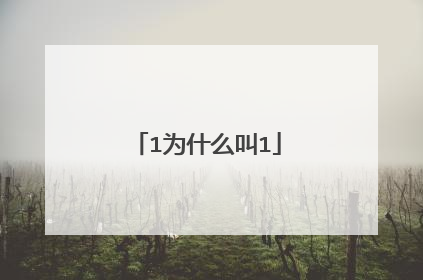 1为什么叫1