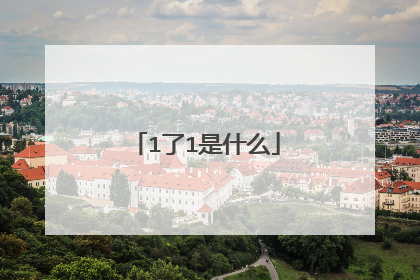 1了1是什么