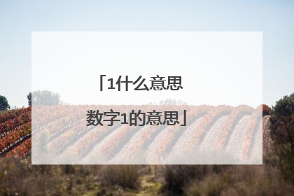 1什么意思 数字1的意思