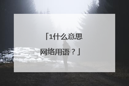 1什么意思网络用语?