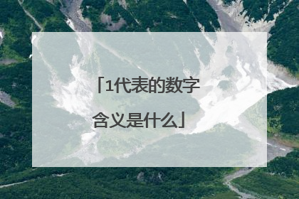 1代表的数字含义是什么