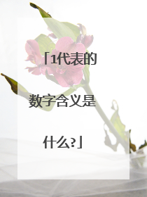 1代表的数字含义是什么?