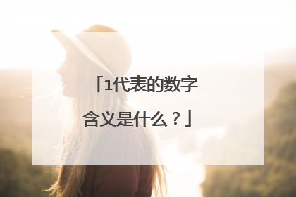 1代表的数字含义是什么？