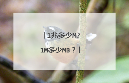 1兆多少M? 1M多少MB?