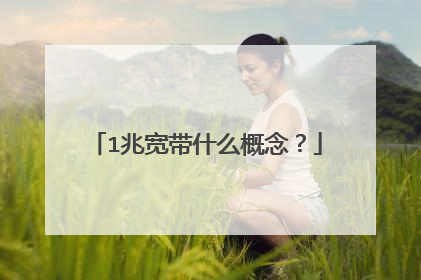 1兆宽带什么概念?