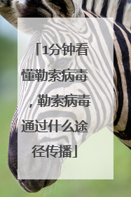 1分钟看懂勒索病毒，勒索病毒通过什么途径传播