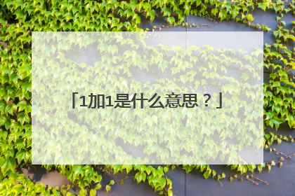 1加1是什么意思？