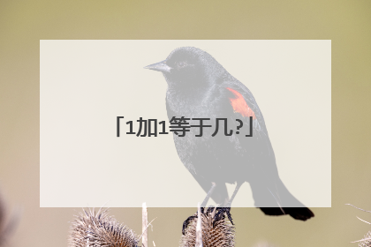 1加1等于几?