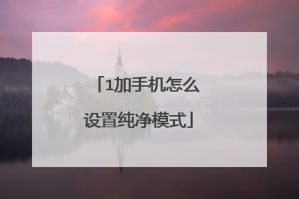 1加手机怎么设置纯净模式