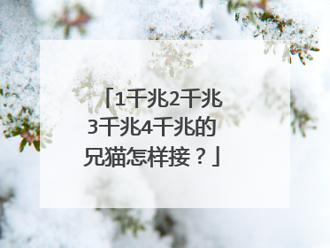 1千兆2千兆3千兆4千兆的兄猫怎样接？