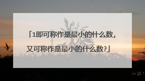 1即可称作是最小的什么数,又可称作是最小的什么数?