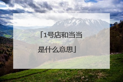 1号店和当当是什么意思