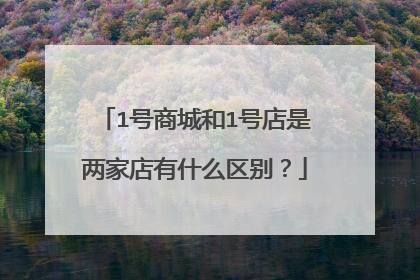 1号商城和1号店是两家店有什么区别？