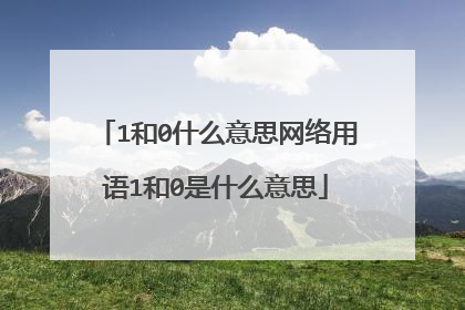 1和0什么意思网络用语1和0是什么意思