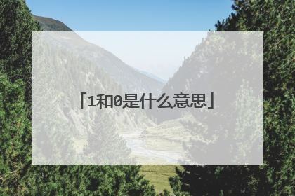 1和0是什么意思