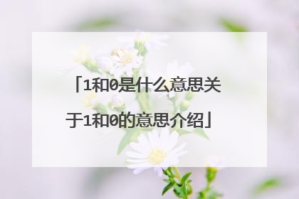 1和0是什么意思关于1和0的意思介绍