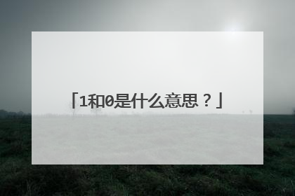 1和0是什么意思？