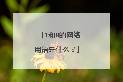 1和0的网络用语是什么？