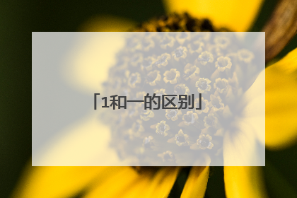 1和一的区别