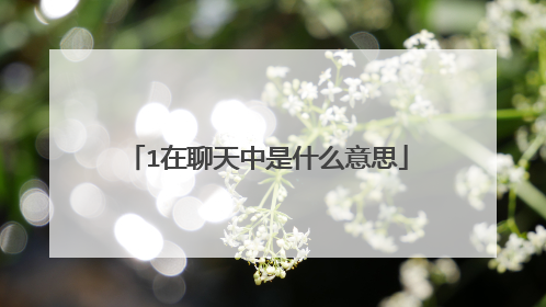 1在聊天中是什么意思