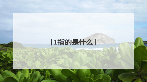 1指的是什么