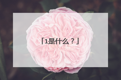 1是什么？