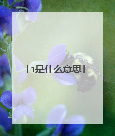 1是什么意思