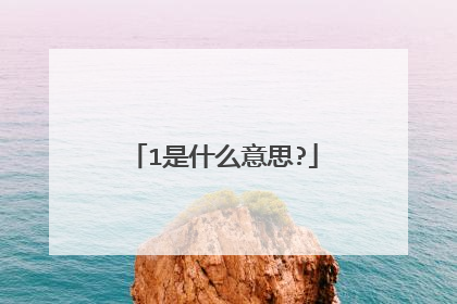 1是什么意思?