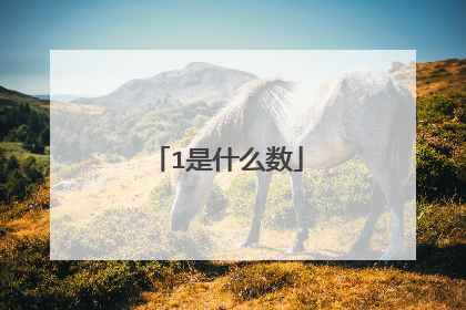 1是什么数