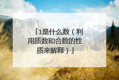 1是什么数（利用质数和合数的性质来解释）