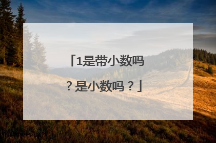 1是带小数吗？是小数吗？