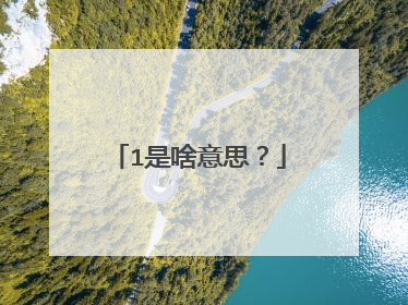 1是啥意思?