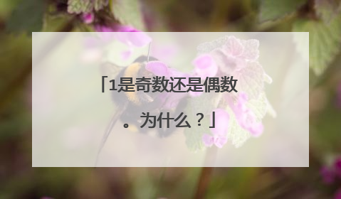 1是奇数还是偶数  。为什么？