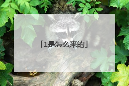 1是怎么来的