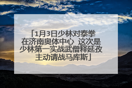 1月3日少林对泰拳 在济南奥体中心 这次是少林第一实战武僧释延孜 主动请战马库斯