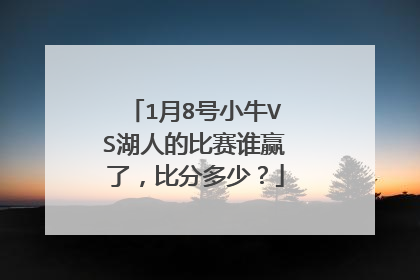 1月8号小牛VS湖人的比赛谁赢了，比分多少？