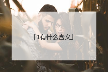 1有什么含义