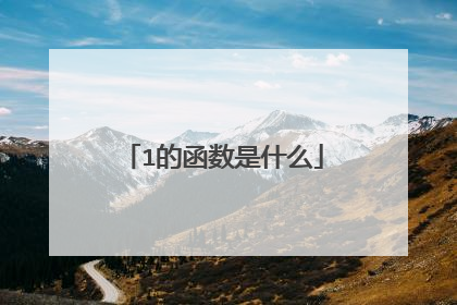 1的函数是什么
