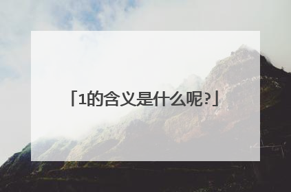 1的含义是什么呢?