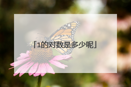 1的对数是多少呢