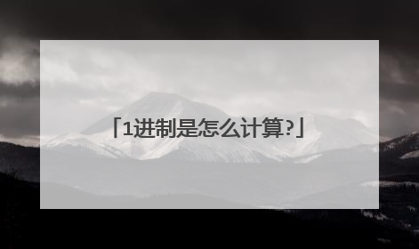 1进制是怎么计算?