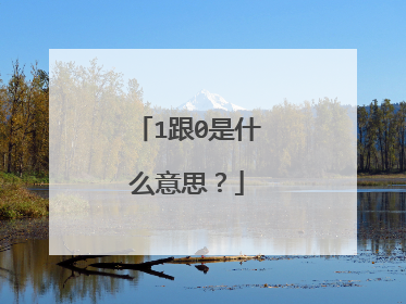 1跟0是什么意思？