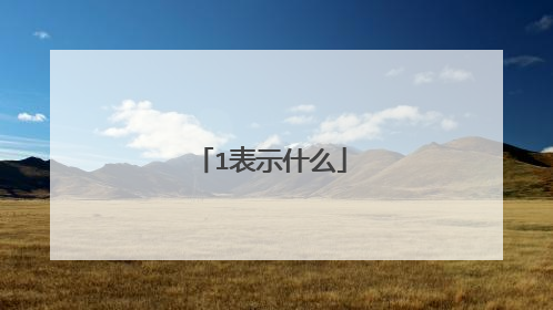 1表示什么