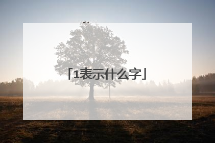 1表示什么字