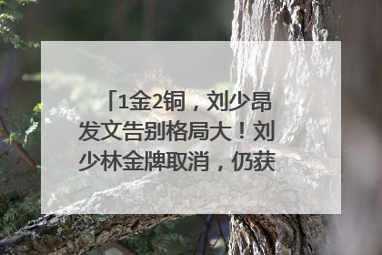 1金2铜，刘少昂发文告别格局大！刘少林金牌取消，仍获英雄般待遇