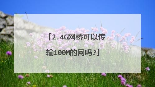 2.4G网桥可以传输100M的网吗?