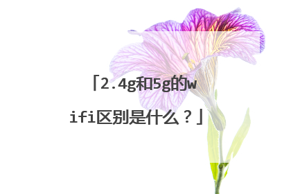 2.4g和5g的wifi区别是什么？