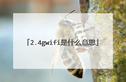 2.4gwifi是什么意思
