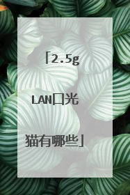 2.5gLAN口光猫有哪些