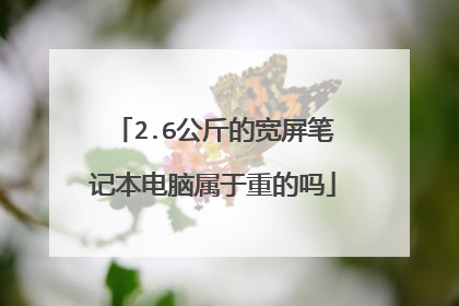 2.6公斤的宽屏笔记本电脑属于重的吗